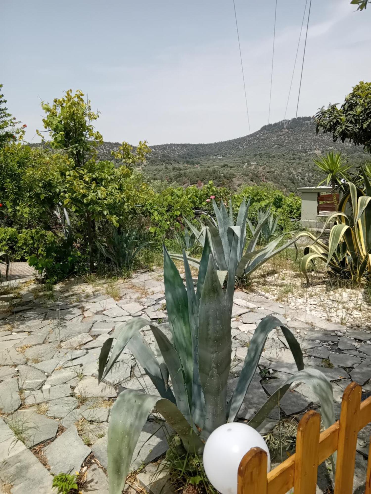 Appartement Giola Aparments And 2 Astris